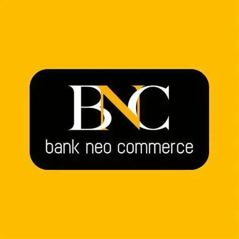 BNC Virtual Account
